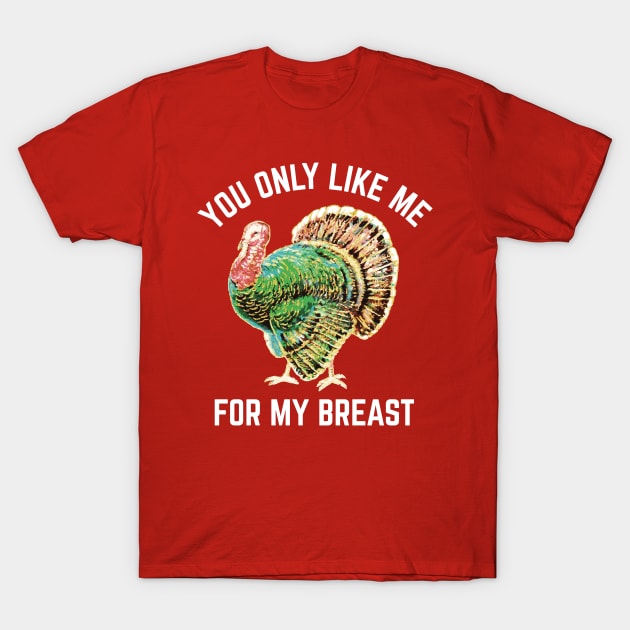 Funny Thanksgiving Like Me For My Breast T-Shirt by PodDesignShop